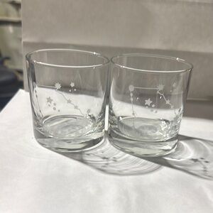 Constellation Etched Glass Tumbler Set of 2